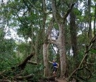 Rencontre Femme Colombie à Tocancipa  : Diana, 38 ans